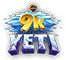 9k Yeti logo