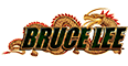 Bruce Lee logo