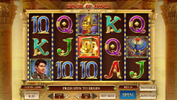 Book of Dead kolikkopeli Dachbet Kasinolla