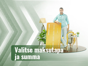 Maksutavan ja summan valitseminen