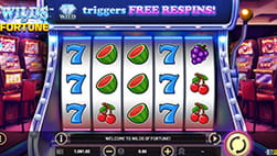 Wilds of Fortune kolikkopeli ICE Casino kasinolla